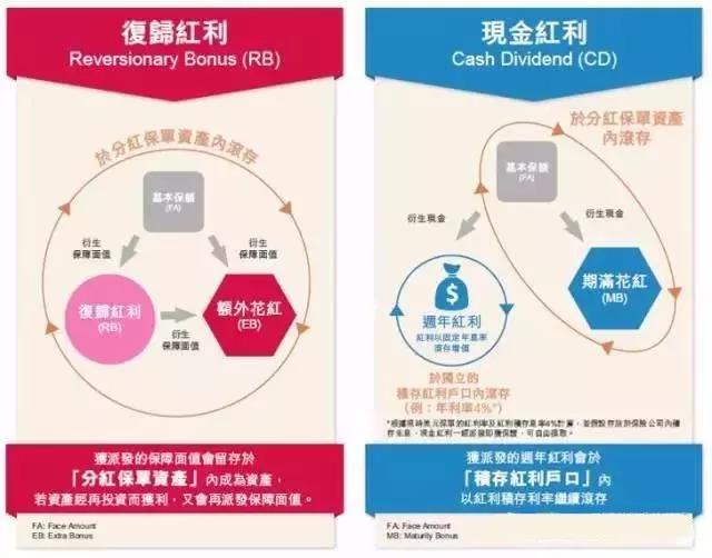 香港保险中的「英式分红」和「美式分红」到底有什么区别