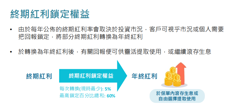 万通网红储蓄分红险「富饶传承3」，收益高达7.01%